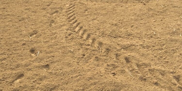 আউশগ্রামে কৃষকের তিন বিঘা আলুজমি নষ্ট করে দেওয়ার অভিযোগ