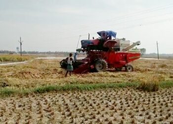 ভাতারে ধান কাটা নিয়ে দুই পরিবারের সংঘর্ষ,আহত ৩