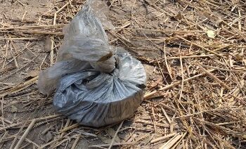 আউশগ্রামে তাজা বোমা ও বোমার মশলা উদ্ধার,চাঞ্চল্য