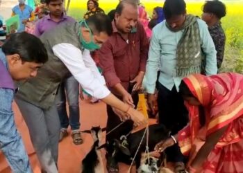 কাটোয়ায় স্বনির্ভর গোষ্ঠীর মহিলাদের ছাগল বিলি