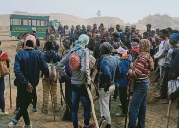 আউশগ্রামের জঙ্গলে পশুপাখি শিকার রুখে দিল বনদপ্তর