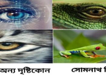 প্রবন্ধ   :  চোখ-অন্য দৃষ্টিকোন