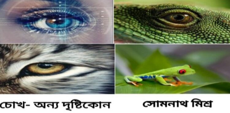 প্রবন্ধ : চোখ-অন্য দৃষ্টিকোন