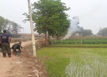 পূর্বস্থলীতে ১৪ তাজা বোমা উদ্ধার, চাঞ্চল্য এলাকায়