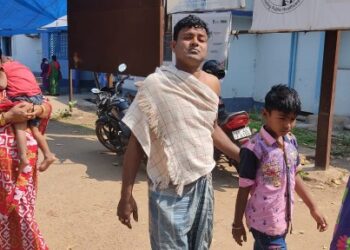 ভাতারে বিয়ে বাড়িতে মৌমাছির  হামলা, জখম বরসহ ১০