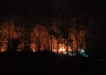 আউশগ্রামের জঙ্গলে আগুন