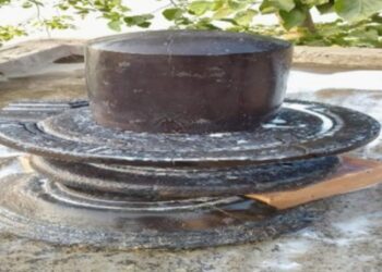 পূর্বস্থলীতে ভাগীরথীর পাড় থেকে শিবলিঙ্গ উদ্ধার, পূজোপাঠে মাতল গ্রামবাসী