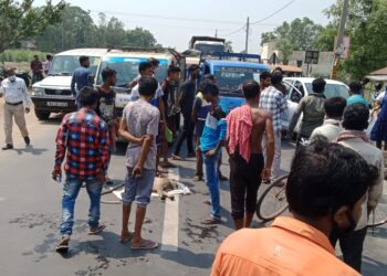 দুর্ঘটনায় মৃত্যু হনুমানের, বনদপ্তরের কর্মীরা দেরিতে আসায় গ্রামবাসীদের পথ অবরোধ