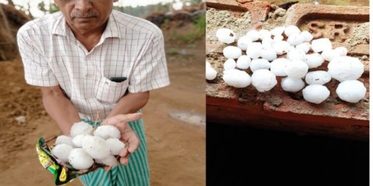 কালবৈশাখীর দাপটে ক্ষতির মুখে আউশগ্রাম ও ভাতারের চাষিরা
