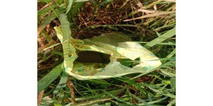 ভাতারে তাজা বোমা উদ্ধার,চাঞ্চল্য