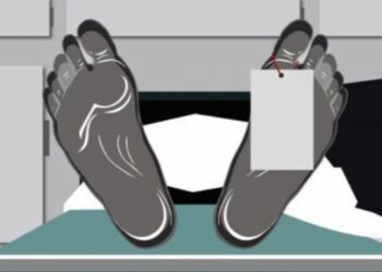 মোটর ভ্যান উলটে মৃত মহিলা, জখম ৩