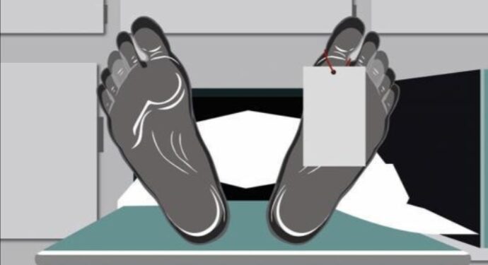 মোটর ভ্যান উলটে মৃত মহিলা, জখম ৩