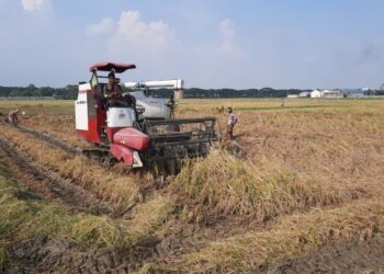 করোনা পরিস্থিতির মধ্যেই রাজ্যে দ্রুত   শুরু হতে চলেছে সহায়ক মূল্যে ধান কেনার প্রক্রিয়া