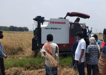 বীরভূমে বিজেপি সমর্থকের জমির ধান তুলে বাড়িতে পৌঁছে দিল তৃণমূলের অঞ্চল সভাপতি