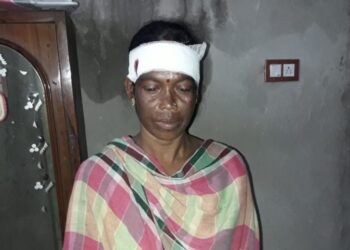 তৃণমূলের মহিলা কর্মীকে মারধরের অভিযোগ, গ্রেফতার দুই বিজেপি কর্মী