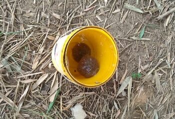 জামালপুরে বাঁশ বাগান থেকে উদ্ধার তাজা বোমা