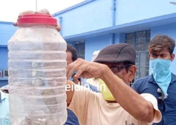 ওষুধের স্টোররুমে ডেরা নেওয়া গোখরো সাপ ঘিরে আতঙ্ক কালনা হাসপাতালে