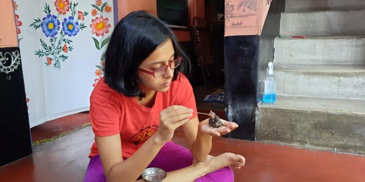 বুলবুলি শাবকের প্রাণ বাঁচাল কাটোয়ার এষা