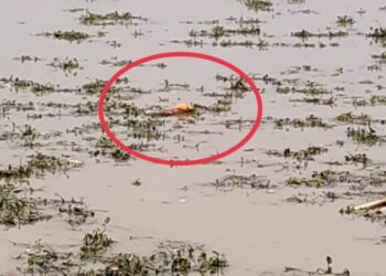 মালদার ভুতনিতে ভাগীরথীর জলে মৃতদেহ ভেসে আসায় করোনা আতঙ্ক