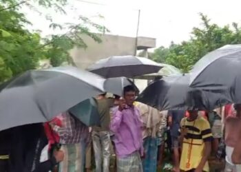 বাবা-মা-বোন-ঠাকুমাকে খুন করে ঘরের মেঝেতে পুঁতে রাখার অভিযোগে গ্রেফতার যুবক