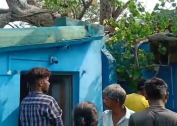 আস্ত বট গাছ উপড়ে পড়ায় ভাঙল বাড়ি