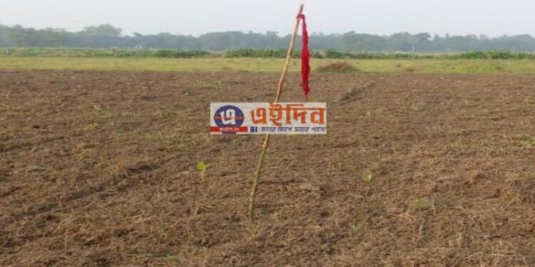 ‘লাল ঝাণ্ডা’ পুঁতে দলীয় নেতার জমির দখল নিলেন তৃণমূল নেত্রী