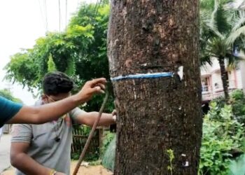 গাছকে পেরেক মুক্ত করতে উদ্যোগ  ‘বিবেক বাহিনী’র