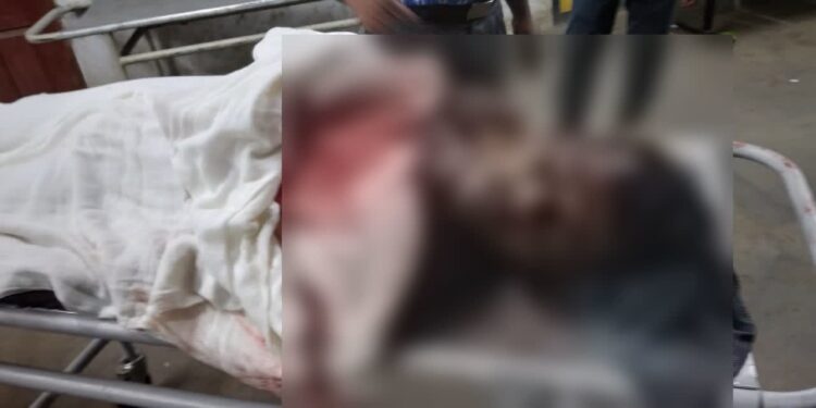 খয়রাশোলে বিজেপির বুথ সহ-সভাপতিকে পিটিয়ে খুনের অভিযোগ, গ্রেফতার ৪