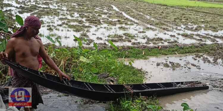 পেট্রোপণ্যের মূল্য বৃদ্ধির প্রতিবাদ, ‘ডোঙার’ সাহায্যে জমিতে জল সেচ করলেন তৃণমূল বিধায়ক
