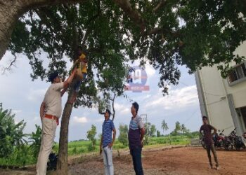 নাদনঘাট থানার বটবৃক্ষে জড়ে হওয়া পাখির দল পুলিশের মন জয় করে পেল বাসস্থান