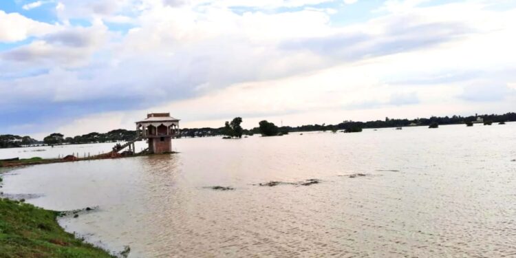 গলসির আটটি গ্রাম পঞ্চায়েতে জলের তলায় ধান জমি, ক্ষতির মুখে চাষিরা