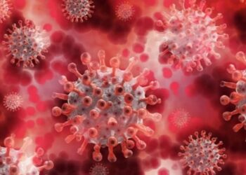 করোনা থেকে ঠিক হওয়ার পরেই গলছে  হাড়, মুম্বাইয়ে মিললো ৩ রোগীর সন্ধান, চিন্তায় চিকিৎসক মহল