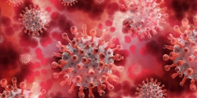 করোনা থেকে ঠিক হওয়ার পরেই গলছে হাড়, মুম্বাইয়ে মিললো ৩ রোগীর সন্ধান, চিন্তায় চিকিৎসক মহল