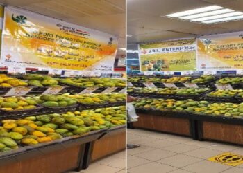 কাতারের দোহায় আন্তর্জাতিক প্রতিযোগিতামূলক উৎসবে নজর কাড়ল মালদার আম