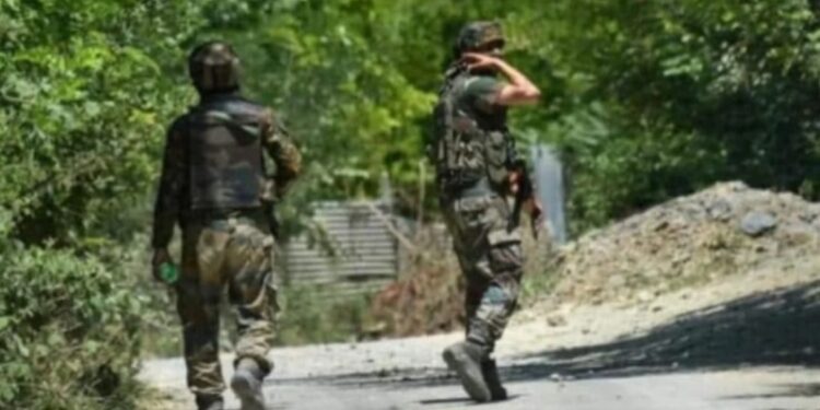 শ্রীনগরে সেনা-জঙ্গি গুলির লড়াই, খতম ২ লস্কর জঙ্গি