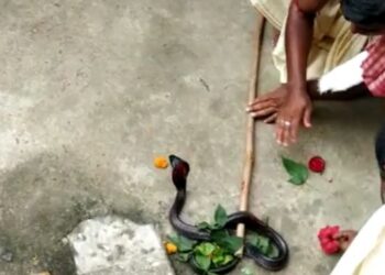 ঝাঁকলাই পুজোয় মাতল মঙ্গলকোট-ভাতারের একাধিক গ্রামের বাসিন্দা