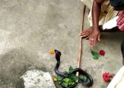 ঝাঁকলাই পুজোয় মাতল মঙ্গলকোট-ভাতারের একাধিক গ্রামের বাসিন্দা