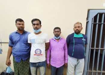 লক্ষাধিক টাকা মূল্যের গাছ কেটে বিক্রির অভিযোগ, গ্রেফতার ৫