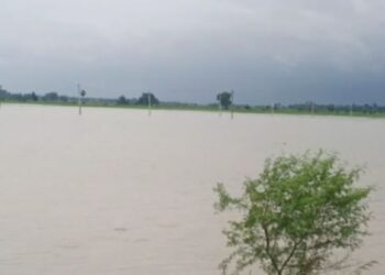 টানা ভারি বৃষ্টিতে প্লাবিত পূর্ব বর্ধমানের বেশ কিছু এলাকা, তলিয়ে গেল কাঠের সেতু,জলের তলায় চাষজমি