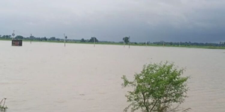 টানা ভারি বৃষ্টিতে প্লাবিত পূর্ব বর্ধমানের বেশ কিছু এলাকা, তলিয়ে গেল কাঠের সেতু,জলের তলায় চাষজমি