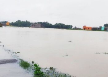 লাগাতার বৃষ্টিপাতে জলের তলায় পূর্ব বর্ধমান জেলার বিস্তীর্ণ এলাকার কৃষিজমি, ক্ষতির আশঙ্কা চাষিদের