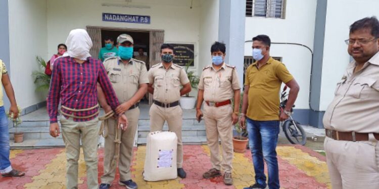 প্রচুর গাঁজা সহ গ্রেফতার গাঁজা পাচার চক্রের এক পাণ্ডা