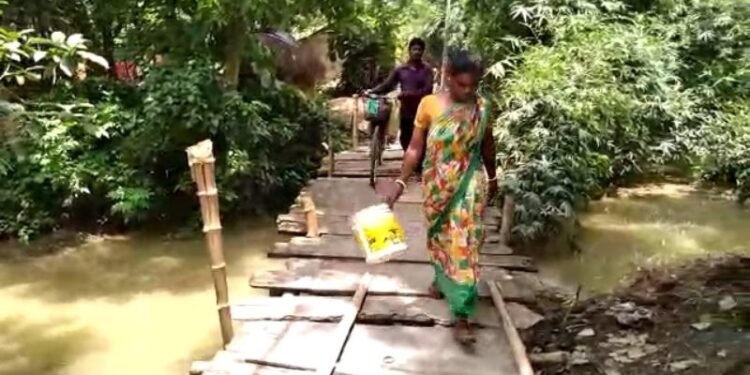 হুগলির বলাগড়ে কানা নদীর উপর কাঠের জরাজীর্ণ সেতুর উপর দিয়ে চলছে ঝুঁকির পারাপার