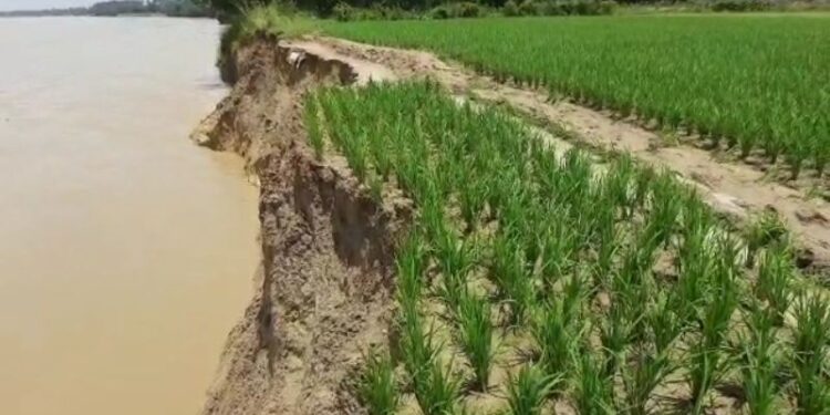 দামোদরের গ্রাসে বিলীন হতে বসেছে বাঁকুড়ার ভাষনা গ্রাম,গ্রামবাসীদের কটাক্ষ – ‘সাবধান,দূয়ারে দামোদর’