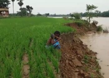 জল কমতেই দামোদরে পাড়ের ভাঙন মারাত্মক  আকার নিল পূর্ব বর্ধমানের অমরপুরে