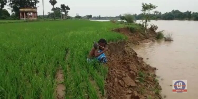 জল কমতেই দামোদরে পাড়ের ভাঙন মারাত্মক  আকার নিল পূর্ব বর্ধমানের অমরপুরে