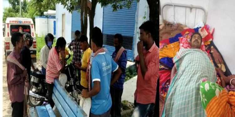 ঘুমন্ত অবস্থায় বিষধর সাপের কামড়ে মৃত্যু জনমজুরের