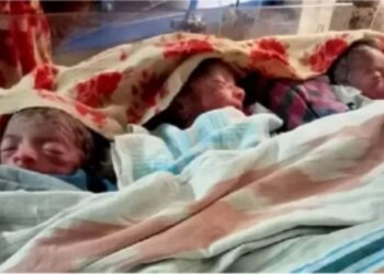 একসাথে ৩ সন্তান প্রসব করলেন গৃহবধু