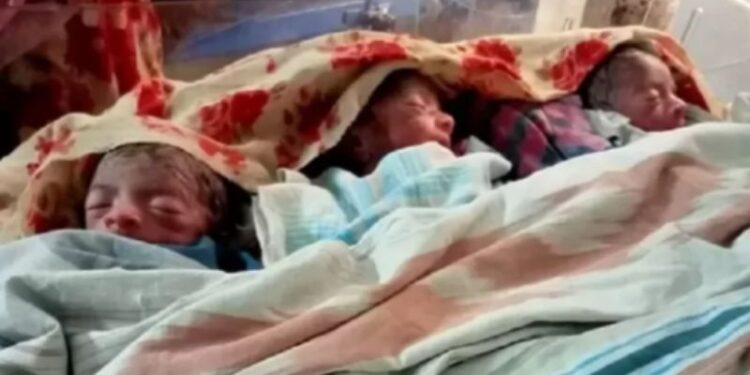 একসাথে ৩ সন্তান প্রসব করলেন গৃহবধু