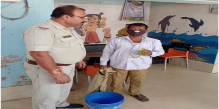 বিরল প্রজাতির ক্যামেলিয়ন উদ্ধার করে পুলিশের হাতে তুলে দিল দিনমজুর যুবক